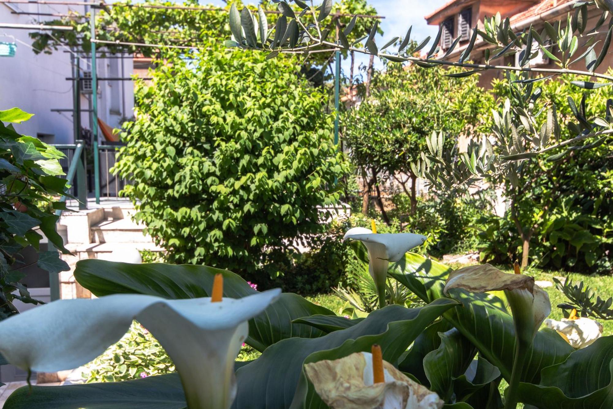 Marjan Hill 3-Br Apt,5 Guests Private Garden Near Beach Spalato Esterno foto